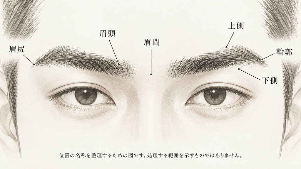 眉の位置の名称を示した図。眉頭、眉尻、眉間、上側、下側、輪郭の6か所に名称を付けている